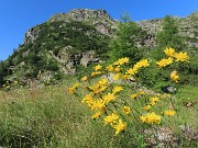 Da Ca San Marco al PASSO-LAGO di VERROBBIO ad anello salendo dall'ALTA VIA MERCATORUM -1lu25  - FOTOGALLERY